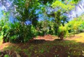Vendo villa tahiti