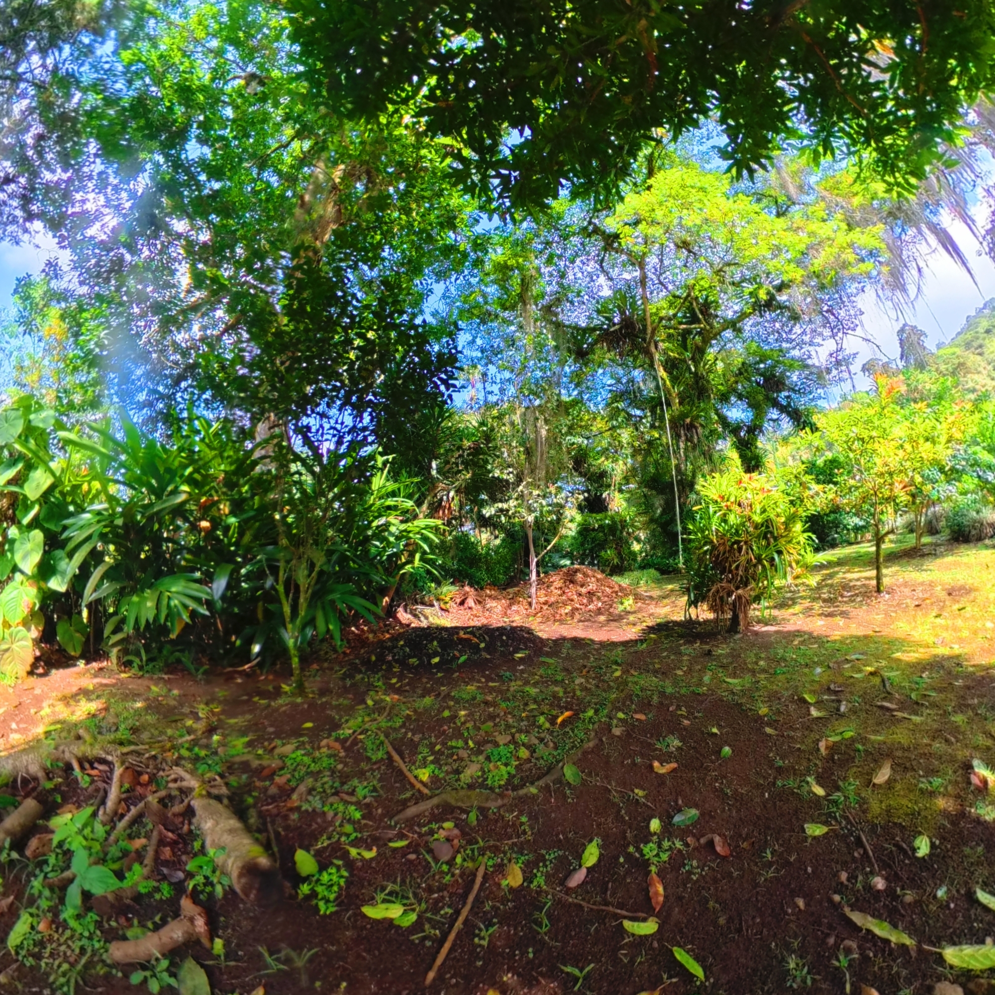 Vendo villa tahiti