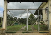 Se vende en puente palo