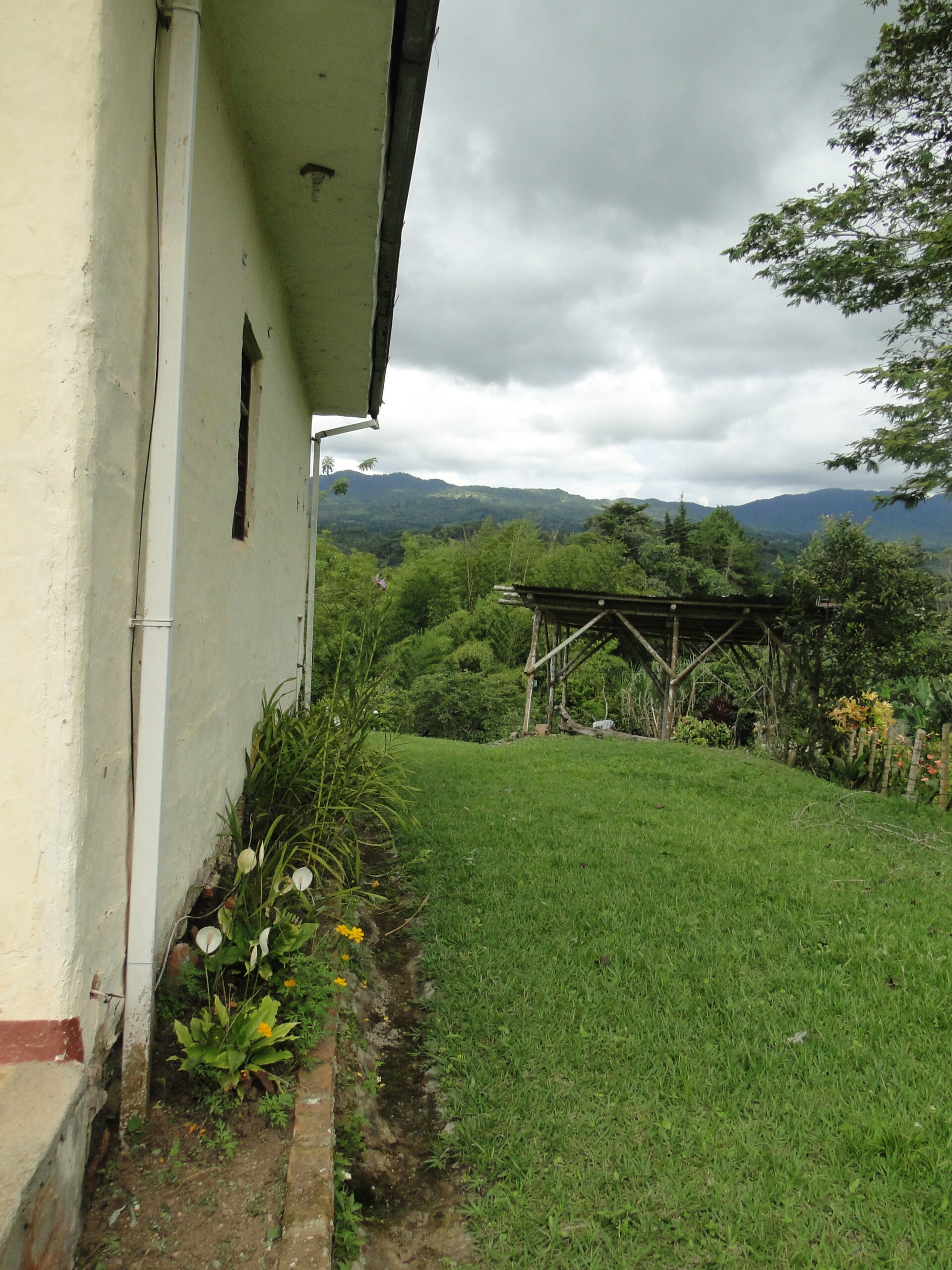 Se vende en puente palo