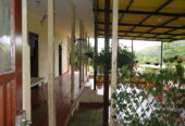 Se vende en puente palo