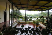 Se vende en puente palo
