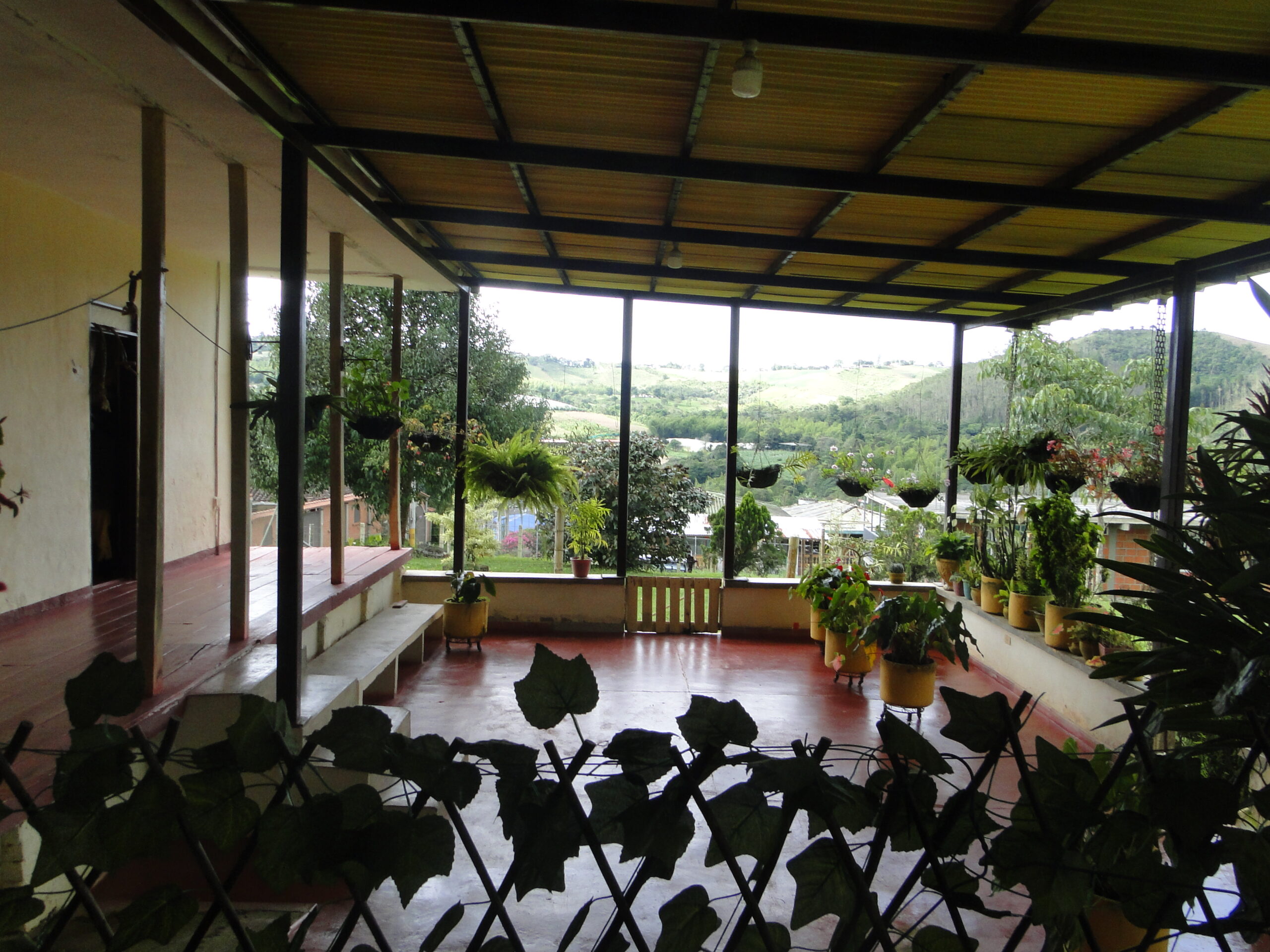 Se vende en puente palo