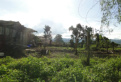 Lotes en La Cabecera Municipal