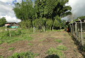 Lotes en La Cabecera Municipal