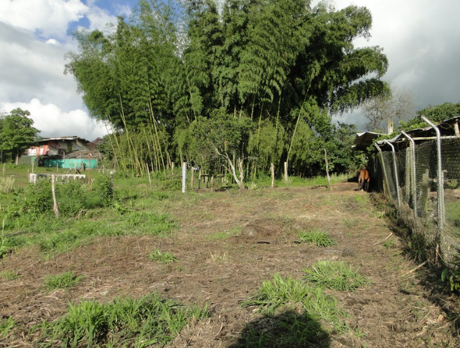 Lotes en La Cabecera Municipal