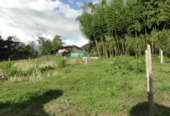 Lotes en La Cabecera Municipal