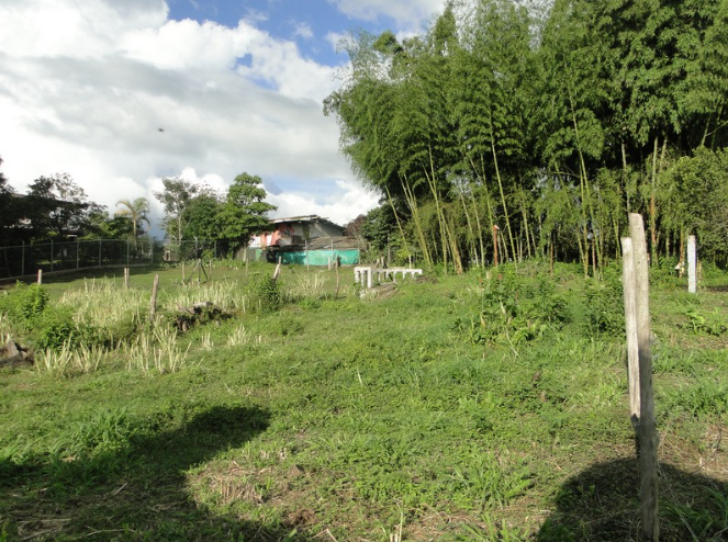 Lotes en La Cabecera Municipal