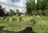 Lotes en La Cabecera Municipal