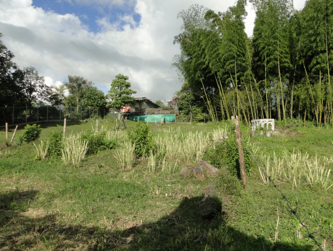 Lotes en La Cabecera Municipal