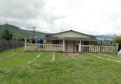 DSC08296
