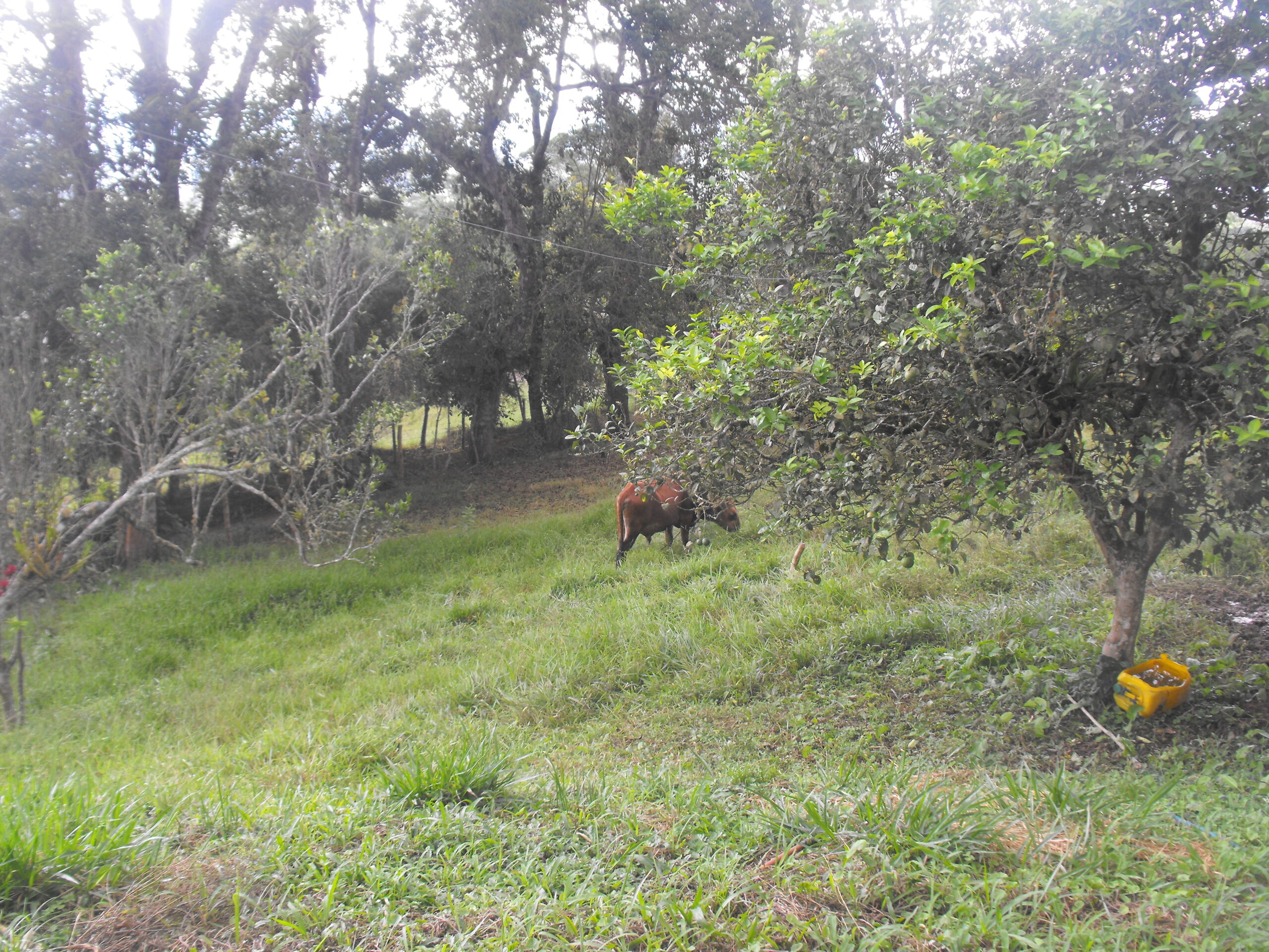 ¡Mejor precio! no dejes pasar esta gran oportunidad de adquirir esta maravillosa propiedad en la vereda la ventura
