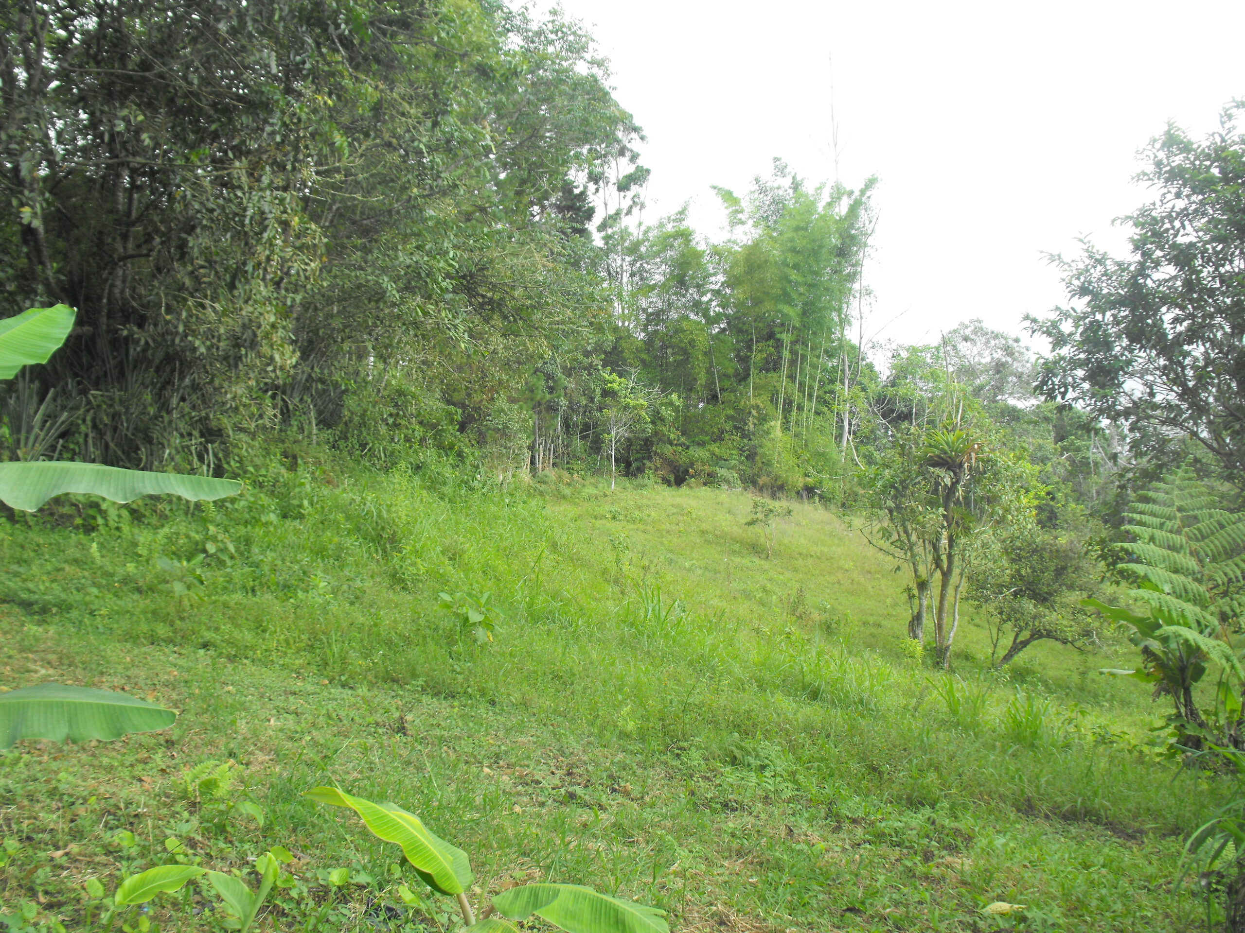 ¡Mejor precio! no dejes pasar esta gran oportunidad de adquirir esta maravillosa propiedad en la vereda la ventura
